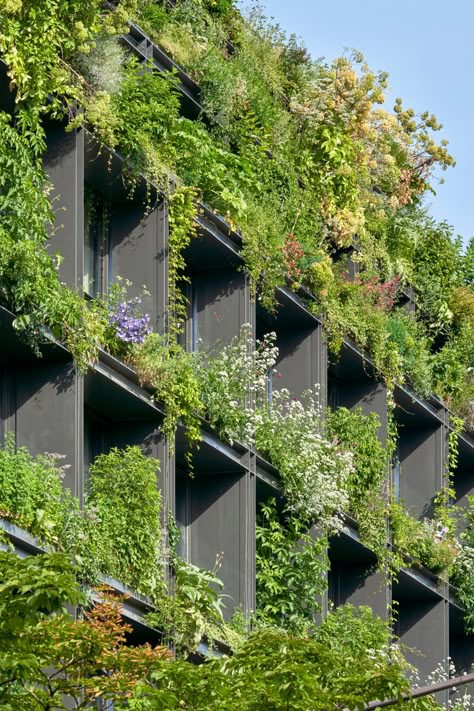 Villa M is a plant-covered hotel in Paris by Triptyque and Philippe Starck Residential Facade, Brazilian Architecture, City Nature, Wooden Panelling, Green Facade, Hotel In Paris, Building Concept, Architecture Inspiration, Green Architecture