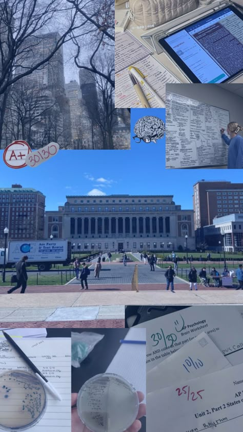 💙#columbia #columbiauniversity manifesting🤞 Columbia University Wallpaper, Columbia Acceptance, Columbia Aesthetic, Columbia Uni, Nyu Campus, University Wallpaper, Academic Vision Board, Future University, Columbia Law