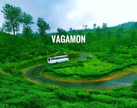 Vagamon , Kerala Vagamon Kerala Aesthetic, Vagamon Kerala, Kerala Travel, India Travel Places, White Instagram, Black And White Instagram, Amazing Pics, Travel Places, India Travel