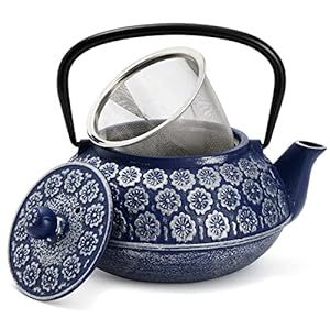 Tea Types, Teapot With Infuser, Tea Steeper, Cast Iron Teapot, Iron Teapot, Blue Teapot, Coffee Server, Cast Iron Tea Pot, Japanese Teapot