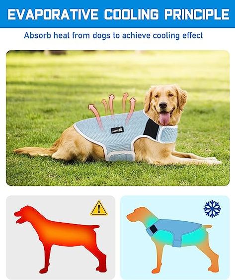 Pecute Dog Cooling Vest, Lightweight Dog Cooling Jacket with Breathable Mesh, Evaporative Cooler Coat for Dog, UV Protection Shirt for Outdoor Hiking Training, 6 Sizes for Small Medium Large Dogs Dog Cooling Vest, Cooling Vest, Hiking Training, Evaporative Cooler, Cool Coats, Outdoor Hiking, Large Dogs, Uv Protection, Hiking