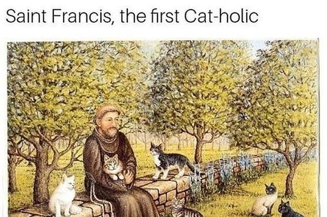 100 Catholic Memes That Will Have You Sinfully Laughing For Hours Catholic Funny, Catholic Jokes, Catholic Humor, Church Memes, St Anthony's, Catholic Memes, Jesus Memes, Christian Jokes, Saint Anthony