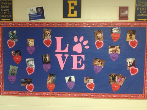 February Bulletin Board: Teachers' Pets We Love Our Pets Bulletin Board, Pet Study Bulletin Board, Dog House Bulletin Board Ideas, Pet Bulletin Board Ideas Preschool, Pet Bulletin Board Ideas For Work, Pet Theme Bulletin Board Ideas, Pets Bulletin Board Ideas, Pet Bulletin Board Ideas, Dog Bulletin Board