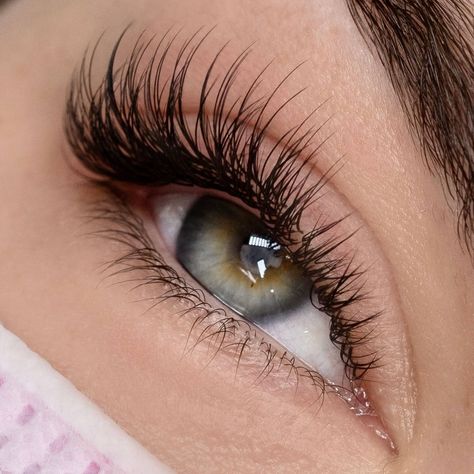 Classic Hybrid Eyelash Extensions, Classic Eyelashes Extensions, Kim Kardashian Eyelashes, Classic Lashes Extensions, Hybrid Wispy Eyelash Extensions, Eyelash Photography, Classic Eyelash Extensions, Classic Lash Extensions, Semi Permanent Lashes