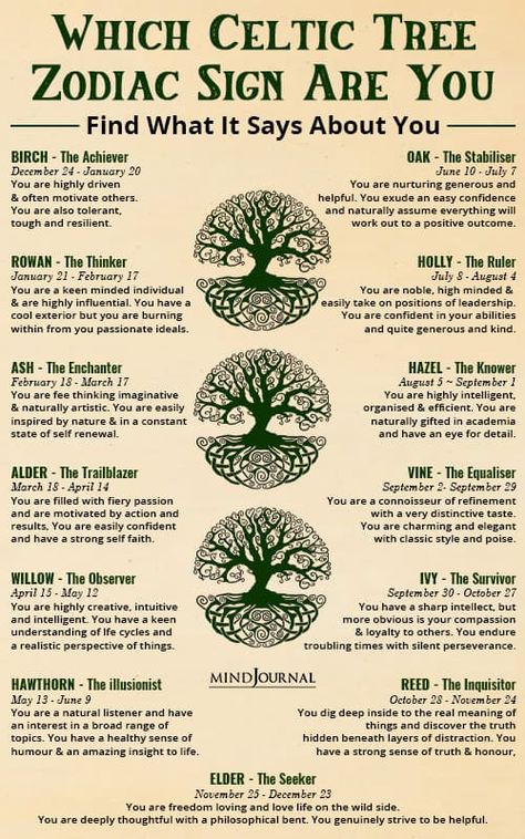 Celtic Tree Zodiac, Tree Zodiac, Celtic Zodiac Signs, Celtic Tree Astrology, Celtic Zodiac, Deep Knowledge, Diy Copper, Celtic Traditions, Witch Spirituality