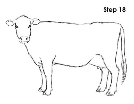 Cow Drawing 18 Cow Simple Drawing, How To Draw A Cow, Cow Drawing Easy, Draw A Cow, Cow Cartoon Images, Cow Sketch, Easy Pictures To Draw, Animal Tutorial, Drawing Instructions