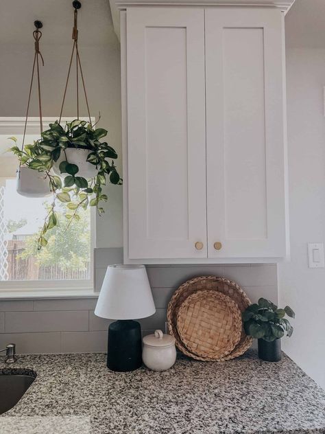 Hanging Plants Around Window, Hanging Plant In Kitchen, Bay Window Hanging Plants, Hanging Plants Indoor Kitchen Window, Hanging Plants For Bathroom, Hanging Plants From The Ceiling, Hanging Plants In Kitchen Ideas, House Plants In Kitchen, Plants Hanging In Kitchen Window