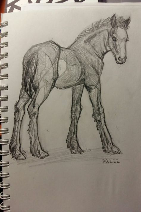 Horses To Draw, How To Draw A Horse, Cute Horse Drawing, Horses Sketch, 3d Doodles, Horse Draw, Horse Sketches, Horses Drawing, Notebook Drawings