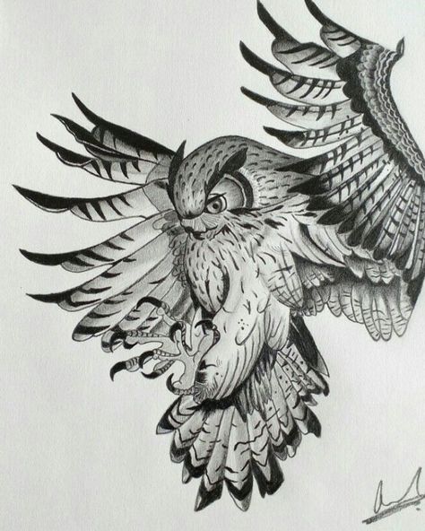 Pencil sketching #chesttattoos #tattooideas Owl Tattoo Dark, Flying Owl Tattoo Design, Tattoo Ideas Owl, Owl Wings Tattoo, Owl Tattoo Ideas, Realistic Owl Tattoo, Tattoos Sketches, Owl Tattoo Drawings, Owl Sketch