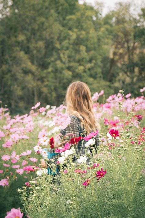 Fairy Farm, Forest Shoot, Mind Movie, Bday Shoot, Field Photography, Valley Of Flowers, Picnic Inspiration, Flower Branding, Wildflower Field