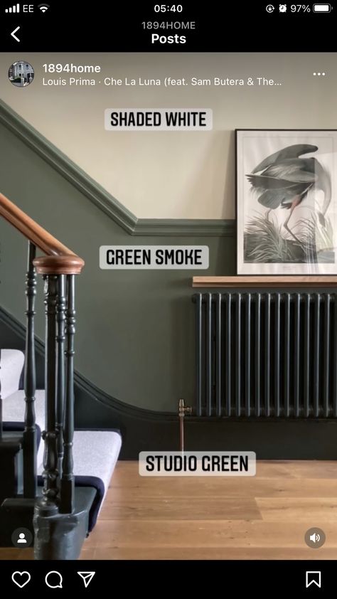 Dark Green Hallway, Lambriseringen Gang, Hallway Wall Colors, Stairs And Hallway Ideas, Green Hallway Ideas, Entrance Hall Decor, Hallway Paint, Victorian Hallway, Hallway Colours