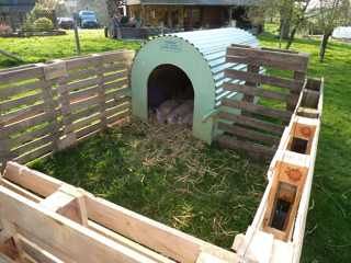 pig enclosure - yes this may be happening... Pig Houses, Rabbit Houses, Pig Shelter, Goat Shelter, Goat Pen, Shelter Ideas, Raising Pigs, Pot Belly Pigs, Pig Pen