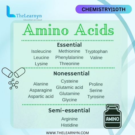 Exploring the wonders of amino acids! Did you know these tiny molecules are the building blocks of proteins, essential for our body's growth and repair? ✅What are amino acids?: 🧬 Imagine them as the LEGO bricks of protein synthesis! These compounds are fundamental in constructing proteins, which are crucial for various bodily functions such as muscle development, immune system support, and hormone regulation. ✅Types of amino acids: 🌟 There are 20 different types of amino acids, each with i... 20 Amino Acids, Hormone Regulation, Biology Classroom, Exam Success, Acid Base, Chemistry Lessons, The Learning Experience, High School Science, Protein Synthesis