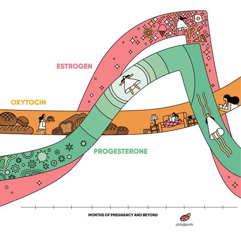 pregnancy-hormone-levels-rose-wong Heart Facts, Low Estrogen Symptoms, Low Estrogen, Pregnancy Hormones, Shape Magazine, Estrogen Dominance, Women Health Care, Health Planner, Hormone Levels