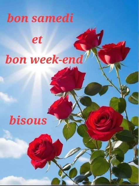 Bon Week-end, Weekend Images, Bon Weekend, Week End, Google Photos, Good Morning, Roses, Bible, Collage