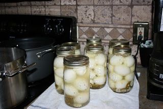 Canning Pickled Eggs, Pickles Eggs, Pickle Eggs, Juicing Beets, Spicy Pickled Eggs, Eggs Pickled, Pickling Vegetables, Pickled Quail Eggs, Pickled Egg