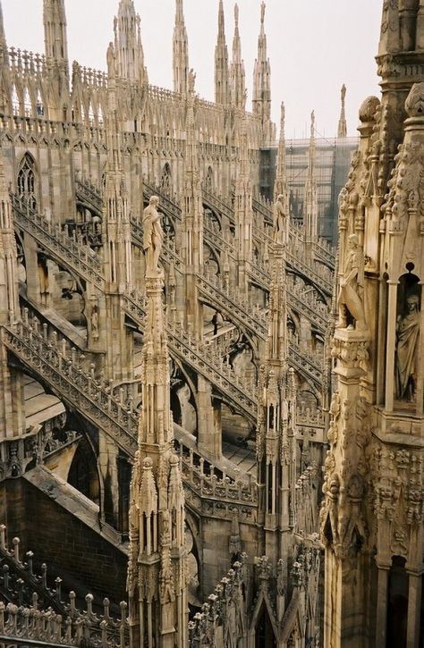 Duomo di Milano Cathedral / Milan, Italy Architecture Cool, Milan Cathedral, Cathedral Church, Gothic Architecture, Bergamo, Milan Italy, Beautiful Architecture, Beautiful Buildings, Pretty Places