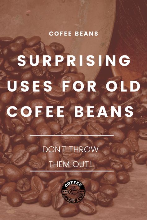 Wondering what to do with old coffee beans? We have a ton of ideas to use up old coffee! From fertilizer to cleaner to arts and crafts and more - we have everything you need to make the most out of your coffee! What To Do With Coffee Beans, Crafts With Coffee Beans, Coffee Bean Crafts, Coffee Beans Diy, Coffee Bean Decor, Old Coffee Grounds, Bean Ideas, Coffee Bean Art, Coffee Grain