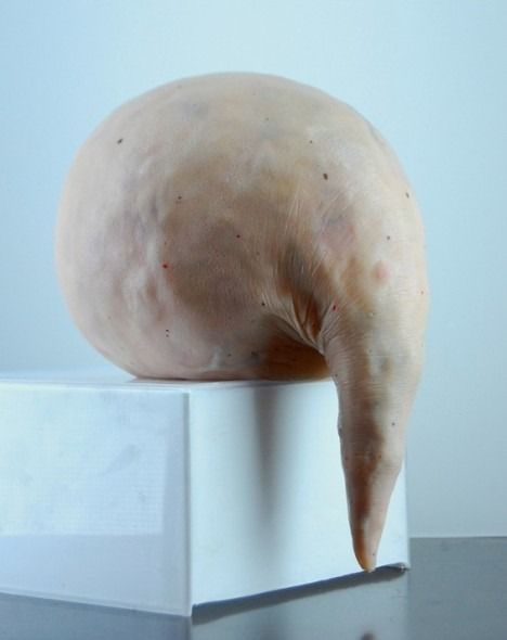 Art Made Flesh: 35 Sculptures Rendered in Human Skin & Hair - WebUrbanist Skin Art, Sculpture Installation, Soft Sculpture, Art Sculpture, Installation Art, Artistic Designs, Sculpture Art, Saatchi Art, Visual Art