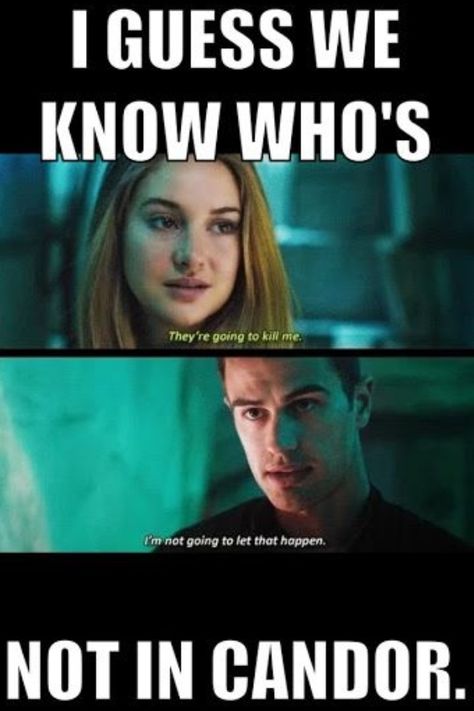 Divergent | Candor Divergent Jokes, Divergent Memes, Hilarious Images, Divergent Book, Divergent Hunger Games, Tris And Four, Divergent Fandom, Divergent Quotes, Divergent Funny