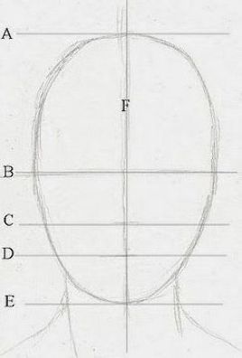 Face Ratio Drawing, Face Ratio, Face Composition, Ratios And Proportions, Composition Drawing, Hair Glitter, Drawing Course, Female Face, Drawing For Beginners