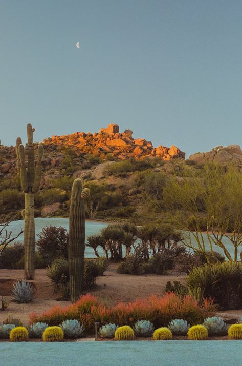 Alex Kittoe on Twitter: "Early Morning In Scottsdale… " Nature Film, Portra 800, Desert Photography, Beautiful Places On Earth, Hell Yeah, Art References, Pretty Places, Dream Destinations, Go Outside