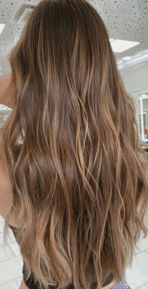 Warm Caramel Honey Highlights, Subtle Balayage Light Brown Hair, Light Brown With Ashy Highlights, Light Brown Hair With Small Highlights, Lightening Brown Hair, Brown Hair With Slight Highlights, Beachy Brunette Hair Sun Kissed, Sunkissed Light Brown Hair, California Highlights Hair