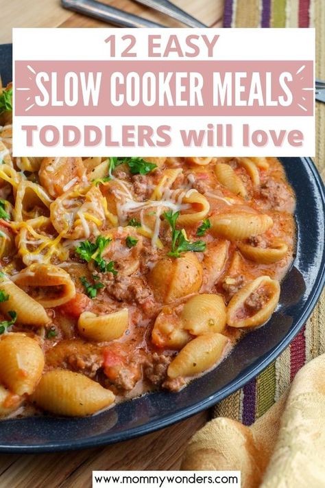 Crockpot Big Family Meals, Budget Friendly Slow Cooker Meals, Family Favorite Crockpot Meals, Family Crockpot Meals Kids, Slow Cooker Kids Meals, Kids Crockpot Meals Easy Dinners, Toddler Slow Cooker Meals, Crock Pot Meals Kids Love, Crockpot Family Meals Kids