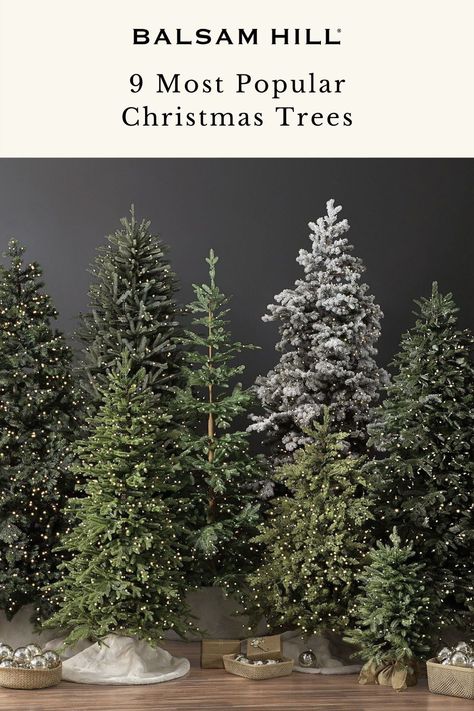 When choosing a live Christmas tree, some of the most important things to consider are its shape, color, sturdiness, and needle retention. To help you decide, we've rounded up the most popular Christmas tree species and their Balsam Hill tree counterparts. Read more on our blog. Christmas Tree 5 Ft, Douglas Fir Christmas Tree, Noble Fir Christmas Tree, Fraser Fir Christmas Tree, Best Artificial Christmas Trees, Realistic Christmas Trees, Types Of Christmas Trees, Realistic Artificial Christmas Trees, Live Christmas Trees