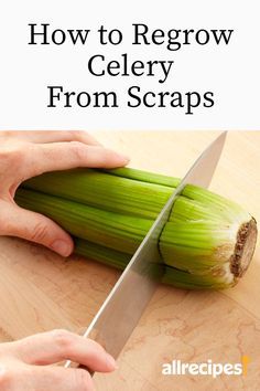 How To Regrow Celery, Regrow Celery, Growing Celery, Gemüseanbau In Kübeln, Regrow Vegetables, Vegetables In Pots, Growing Vegetables In Pots, Vegetable Garden Diy, Growing Veggies