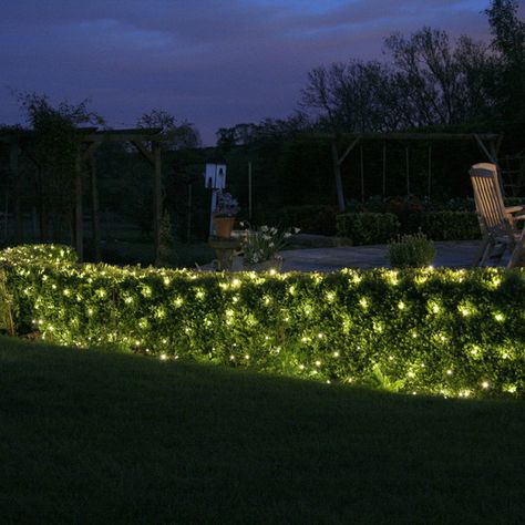 Warm White Outdoor Net Lights Garden Hedge Lighting Ideas, Garden Hedge Lighting, Fairy Lights Trees Backyards, Hedge Light, Christmas Backyard, Bear Landscape, Net Lights Outdoor, Christmas Light Ideas, Outdoor Decor Ideas