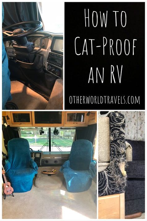 Rv Cat, Biting People, Rv Pet, Cats Happy, Camping With Cats, Travel Trailer Camping, Rv Organization, Living With Cats, Diy Camper Remodel