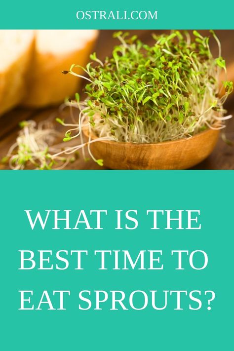 What Is The Best Time To Eat Sprouts? Benefits Of Sprouts, Sprouts Benefits, Radish Sprouts, Bland Food, Best Time To Eat, Alfalfa Sprouts, Food Poisoning, Mung Bean, Bean Sprouts