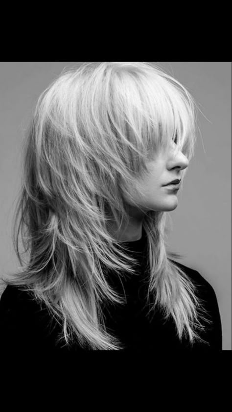 Emo Shag, Haircut Inspo, Hair Stylies, Alternative Hair, Shag Haircut, Fluffy Hair, Cool Hair, Hair Reference, Cut My Hair