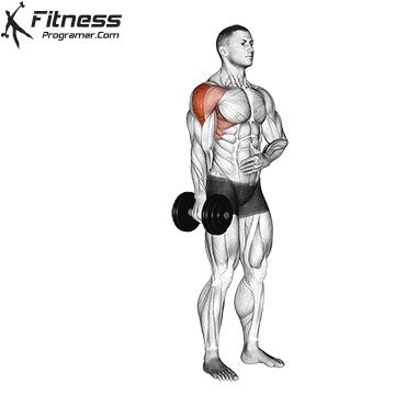 Shoulder Workout Routine, Shoulder Workouts, Trening Sztuk Walki, Personalized Workout Plan, Workouts For Men, Gym Workouts For Men, Abs Workout Gym, Weight Training Workouts, Training Workouts