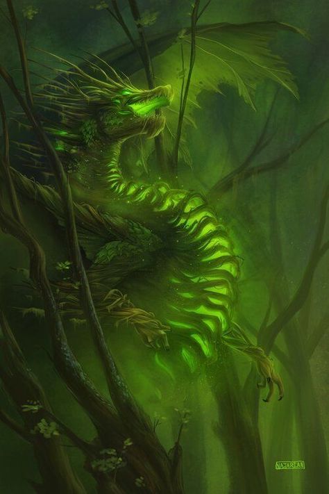 Elemental Dragons, Dnd Monsters, Fantasy Setting, Green Dragon, Fantasy Creatures Art, Dragon Artwork, Fantasy Dragon, Dragon Design, Dragon Art