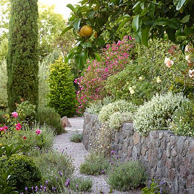 Mediterranean Garden Ideas, Mediterranean Garden Design, Mediterranean Gardens, Mediterranean Landscape, Succulent Landscape Design, Succulent Landscaping, Mediterranean Plants, Mediterranean Landscaping, California Garden