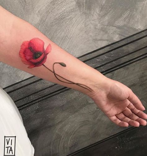 Poppy Flower Tattoo Color, Anemone Flower Tattoo, Literary Tattoos Quotes, Anemone Tattoo, Red Poppy Tattoo, Floral Watercolor Tattoo, Cuddle Quotes, Poppy Flower Tattoo, Poppy Tattoo