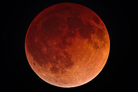 When is the next blood moon? Total lunar eclipse won't happen until 2021 Blood Moon Eclipse, Total Lunar Eclipse, Milky Way Photography, Partial Eclipse, Eclipse Lunar, Shooting In Raw, Night Sky Photography, Moon Eclipse, Film Photography 35mm