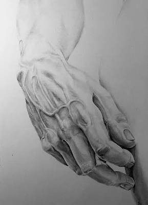 Veiny Arms Drawing, Veiny Arms, Hand Veins, Arm Drawing, Tools Drawing, Person Drawing, Pencil Sketches, Art Tools Drawing, Human Hand