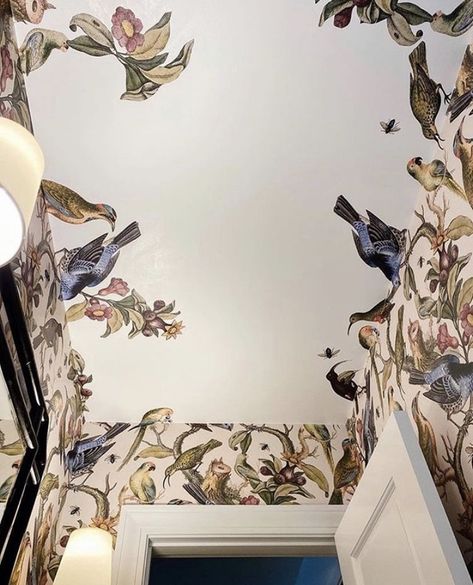 Wallpaper Bathroom Ceiling, Wallpaper On The Ceiling, Powder Room Bathroom, Powder Room Wallpaper, Ceiling Murals, Wallpaper Ceiling, Floor Ceiling, Mom Diy, Bathroom Wallpaper