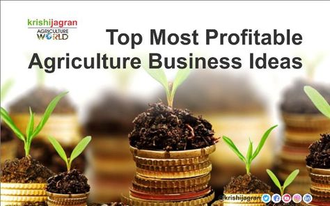 Farming Business Ideas, Agriculture Business Ideas, Agriculture Business Plan, Business Ideas Philippines, Farming For Profit, Farm Crops, Medicine Plants, Shrimp Farming, Starting A Farm