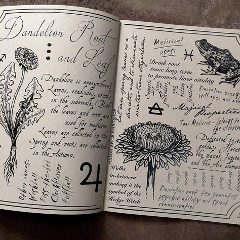 Herbal Grimoire, Poison Apple, Grimoire Book, My Notes, Hedge Witch, Witch Books, Witch Aesthetic, Green Witch, Magic Book