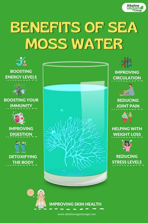 sea moss water benefits What Is Sea Moss, Benefits Of Sea Moss, Seamoss Benefits, Dr Sebi Alkaline Food, Slim Drink, Sea Moss Gel, Improve Energy Levels, Water Benefits, Cold Sores Remedies