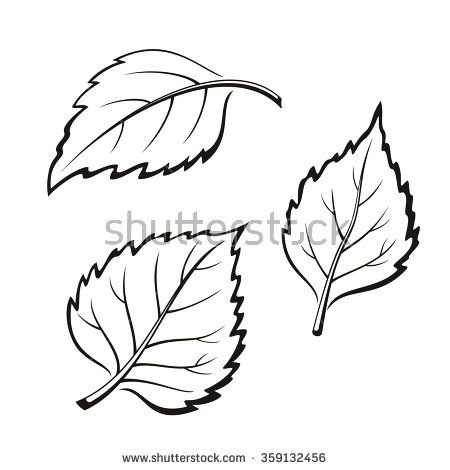 birch tree leaves Birch Leaves Drawing, Birch Tree Leaf Drawing, Birch Leaf Tattoo, Birch Tree Leaves, White Birch Trees, Leaf Outline, Black And White Leaves, Birch Leaf, Tree Sketches