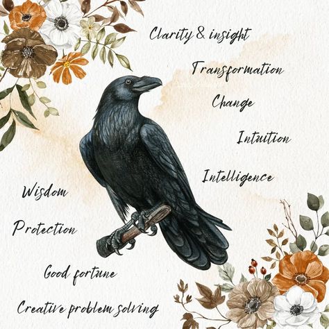 Crow Animal Spirit The crow is a mystical gateway to the spirit realm, granting access to insights and understanding beyond the reach of the rational mind. Its magic allows us to appreciate the mysteries of life and cultivate a sense of curiosity about the unknown. The crow is a symbol of magic and mystery. Its connection to the unknown and ability to adapt to change make it a powerful spirit animal for those seeking transformation. The crow is also an enduring symbol of intelligence, a high... Crow Symbolism, Crow Magic, Crow Spirit Animal, Magic And Mystery, Spirit Realm, To The Unknown, Magic Day, Animal Spirit, Embracing Change