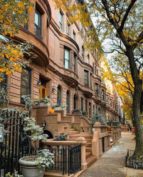 5,976 Likes, 32 Comments - New York City (@newyorkarea) on Instagram: “Beautiful bay windows on the UWS. 📸 : @an_uptown_girl” Upper West Side Nyc, Nyc Townhouse, Backyard Flowers Garden, Nyc Instagram, Nyc Living, Public Space Design, Travel Architecture, Bay Windows, New York State Of Mind