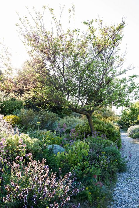 Mediterranean Hardscape, Mediterranean Garden Courtyard, Claire Takacs, Garden Party Aesthetic, Garden Landscaping Design, Sustainable Garden Design, Mediterranean Gardens, Design Backyard, Gardening Landscaping