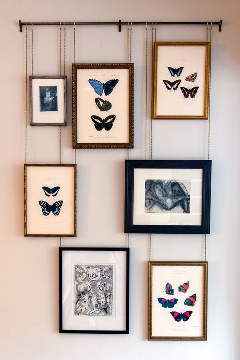 Butterfly Gallery Wall, Wall With Butterflies, Pinned Butterfly, Gallary Wall, Book Shelf Styling, Commercial Space Design, Framed Butterfly, Chicago Interior Design, Gallery Wall Layout