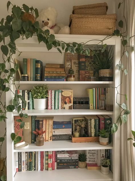 Bookshelf Inspo, Bookshelf Aesthetic, Bookshelf Inspiration, Lots Of Books, Bookshelf Ideas, Dekorasi Kamar Tidur, Future Room, Cozy Room Decor, Room Makeover Bedroom